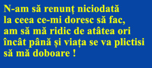 ^F222C98244AA682413C7A6C453670BC75411AEC64FC158864A^pimgpsh_fullsize_distr